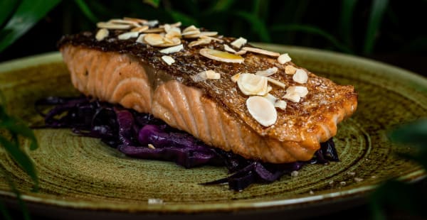 Salmone glassato in salsa teriyaki, mandorle tostate e cavolo viola scottato - Städlin, Roma