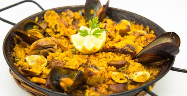 Pami Paella, Forest