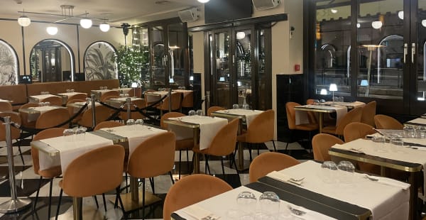 Royal Art Cafe, Roma