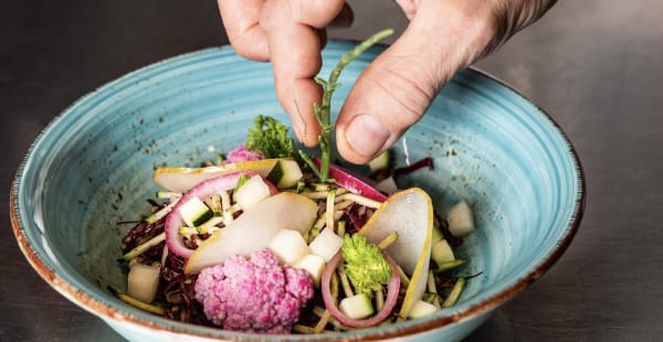 INSALATA MISTA toujours végétale, jamais la même - BAFFO, Paris