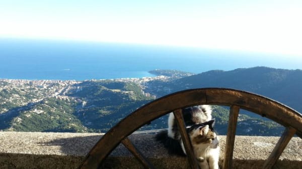 Le Righi In Sainte Agnes Restaurant Reviews Menu And Prices Thefork