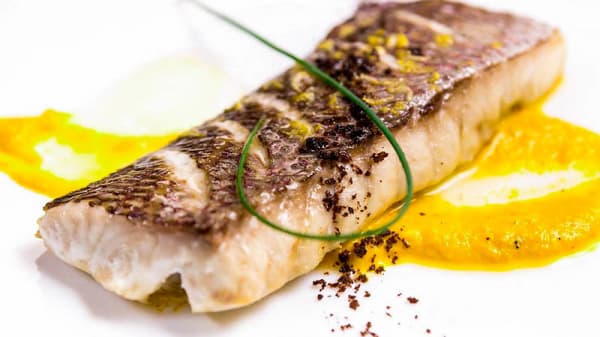 il vecchio molo in san foca restaurant reviews menu and prices thefork