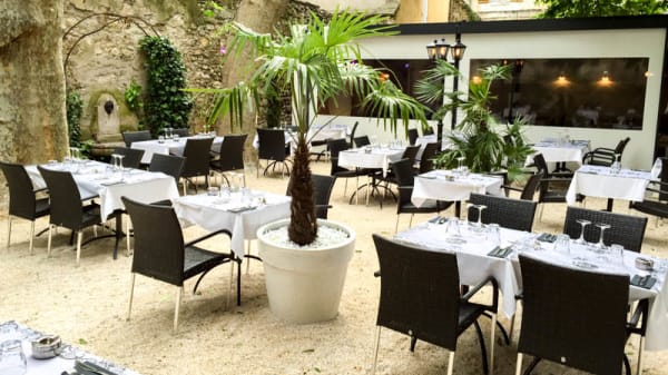 La Cour D Honneur In Avignon Restaurant Reviews Menu And Prices Thefork