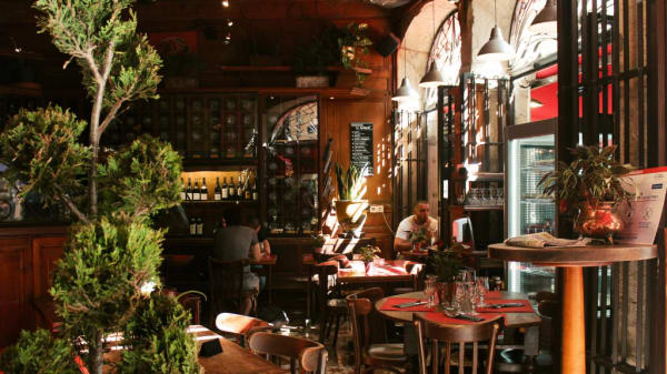 Cafe 203 Opera In Lyon Restaurant Reviews Menu And Prices Thefork