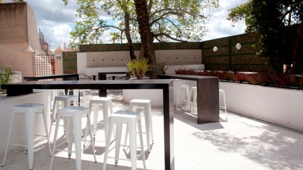 Carta - Mastropiero Gastrobar y Jardín en Cáceres - TheFork (ElTenedor)