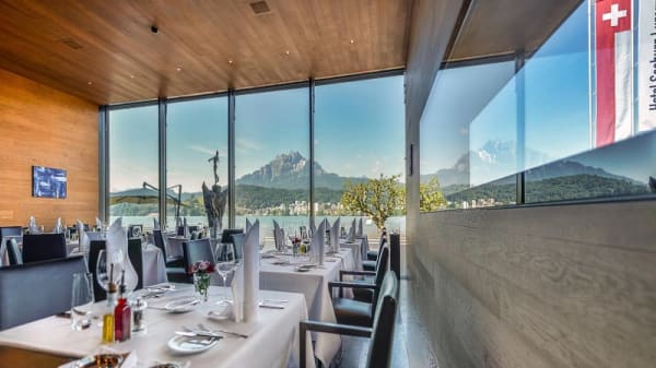 alexander in luzern restaurant reviews menu and prices thefork