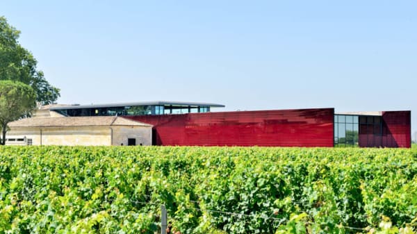 La Terrasse Rouge In Saint Emilion Restaurant Reviews Menu And Prices Thefork