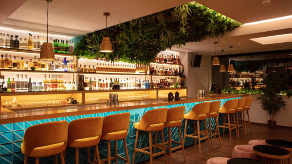 THE ROOM - Monkey Mash, Lisboa