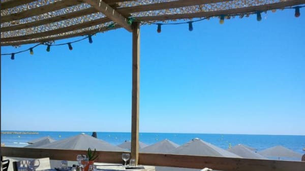 La Playa En Camargue In Saintes Maries De La Mer Restaurant Reviews Menu And Prices Thefork