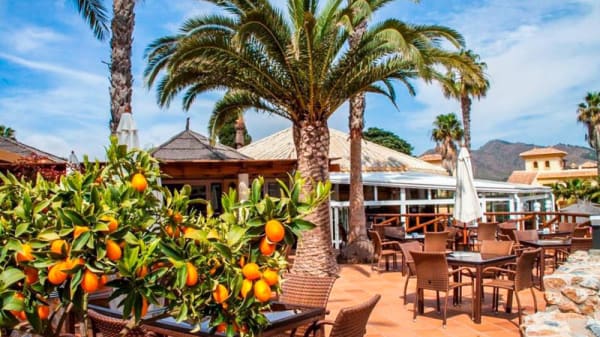 La Solana Bar Restaurant In La Manga Club Restaurant Reviews Menu And Prices Thefork