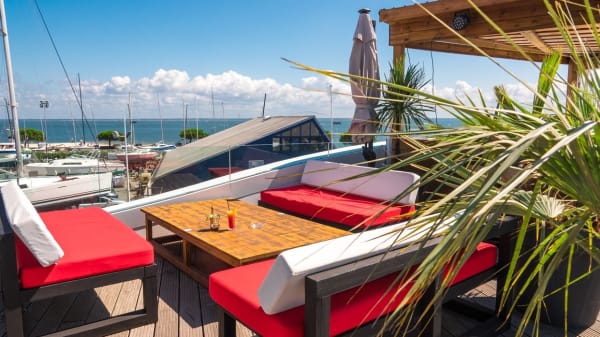 restaurant les terrasses du port a arcachon menu avis prix et reservation