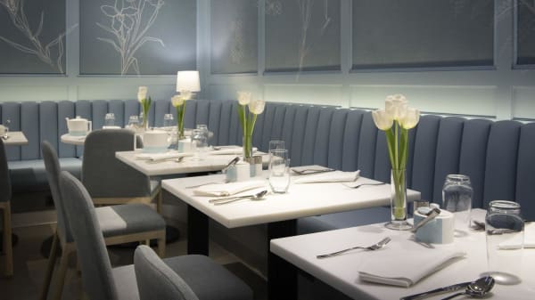 breakfast at tiffany restaurant