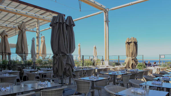 le roy rene in marseille restaurant reviews menu and prices thefork