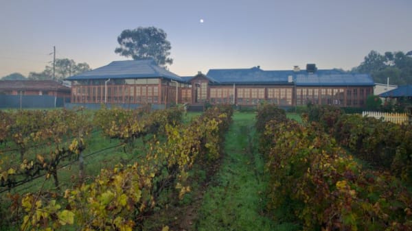 Black Swan Winery and Restaurant in Henley (WA) - Restaurant Reviews, Menu and Prices - TheFork