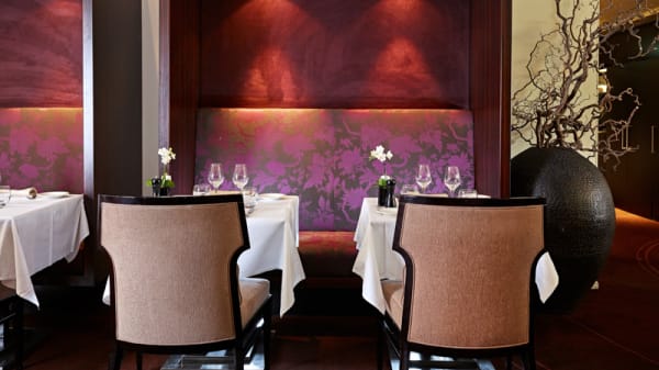 Le Louis 2 In Paris Restaurant Reviews Menu And Prices Thefork