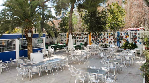 El Patio De La Casa De Cordoba In Madrid Restaurant Reviews Menu And Prices Thefork