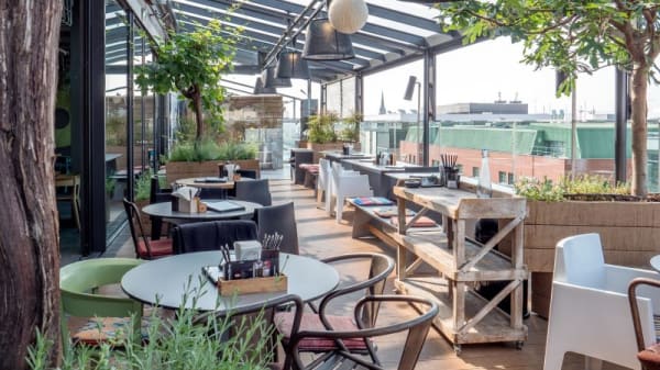 Dachgarten In Mannheim Restaurant Reviews Menu And Prices Thefork