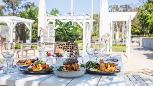 Dragonfly In Macquarie Park Nsw Restaurant Reviews Menu And Prices Thefork Dragonfly ai uses cutting edge neuroscience to predict how design influences where your audience looks first dragonfly ai. thefork