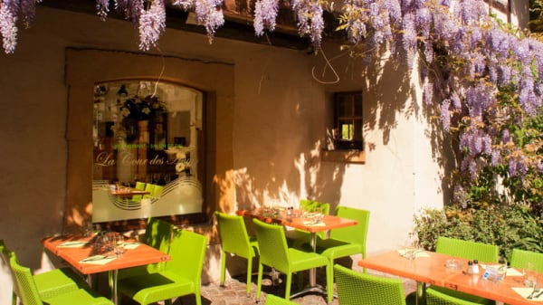 La Cour Des Anges In Colmar Restaurant Reviews Menu And Prices Thefork