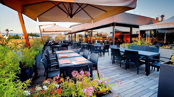 la terrazza in arezzo restaurant reviews menu and prices thefork