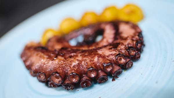 Itinerario In Milan Restaurant Reviews Menu And Prices Thefork Itinerarios, mapas, trafego, reserva hotel. itinerario in milan restaurant