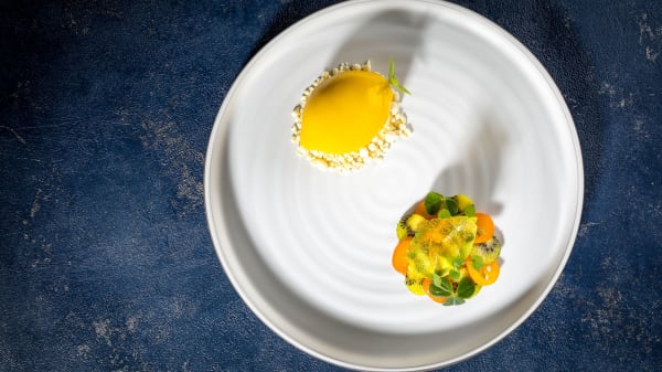 Speisekarte 2023 – Jellyfish in Hamburg – TheFork