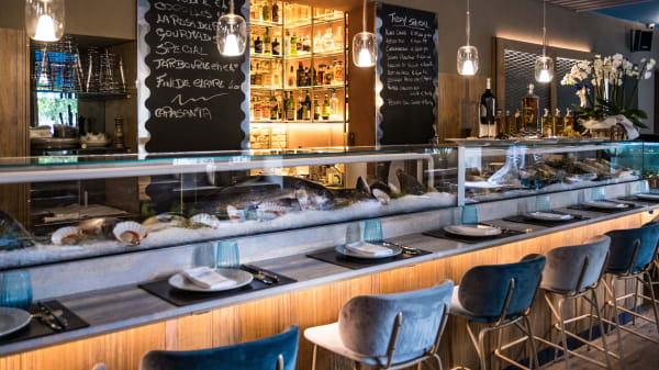 Trattoria il Cormorano Sempione a Milano Menu, prezzi, immagini