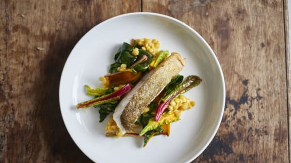 Rezepte für die silvester-party: bellini-sorbet und mango-törtchen Speisekarte 2022 – Biorestaurant Macis in Leipzig – TheFork