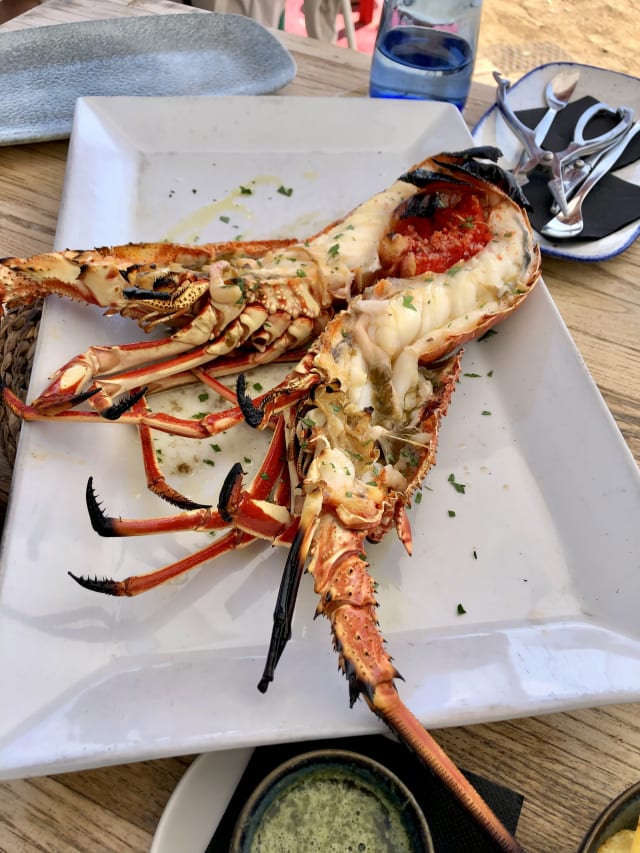 Bogavante nacional / langosta / cigalas al ajillo con huevos fritos, patatas y pimientos. (s/m) - Can Fisher, Barcelona