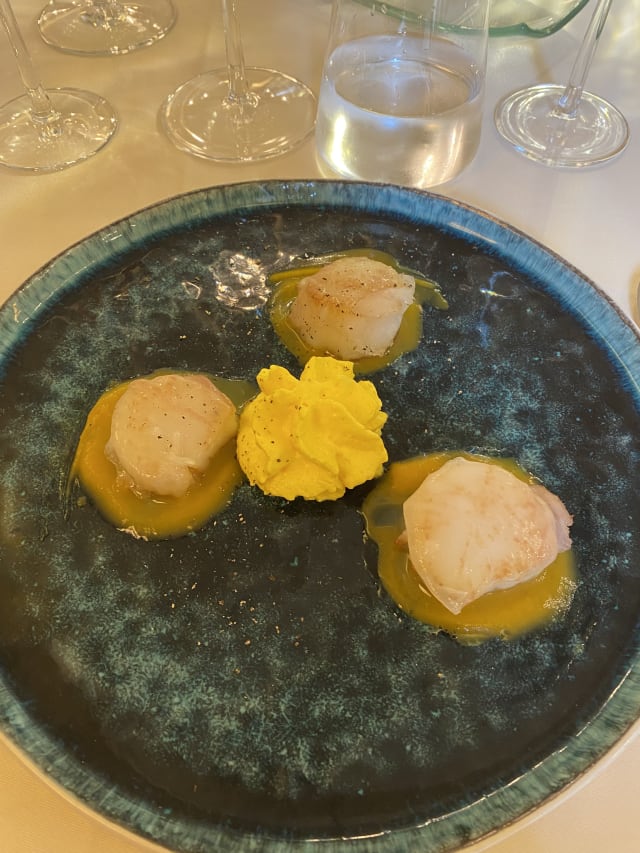 Capesante scottate, lardo di colonnata, fonduta di zucca gialla, spuma di patate affumicata allo zafferano - La Pecora Nera, Montecatini Terme