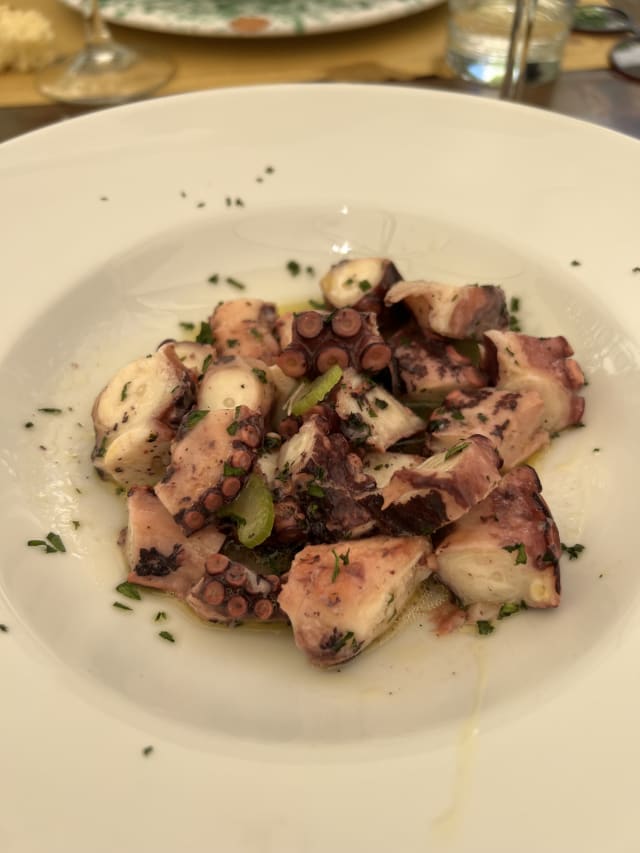 Insalata di Polpo - Osteria Caccianferno, Trani