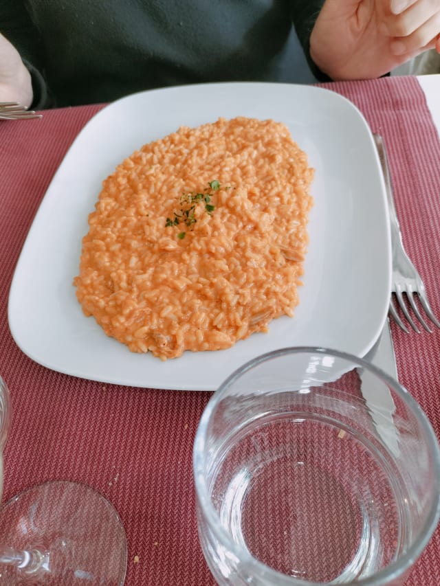 Risotto alla crema di scampi - Movida Risto Bar, Torvaianica