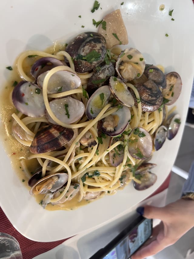 Spaghetti alle vongole  - Movida Risto Bar, Torvaianica