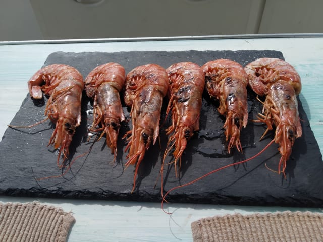 Gambas a la plancha - Urània II, Llança