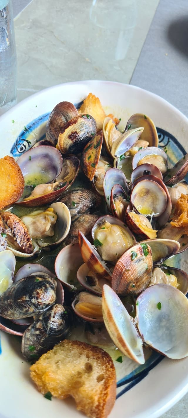 SAUTE' di vongole - Ristorante Mediterraneo Salerno