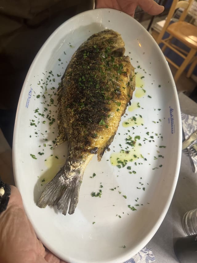 ORATA ALLA GRIGLIA - Ristorante Mediterraneo Salerno, Salerno