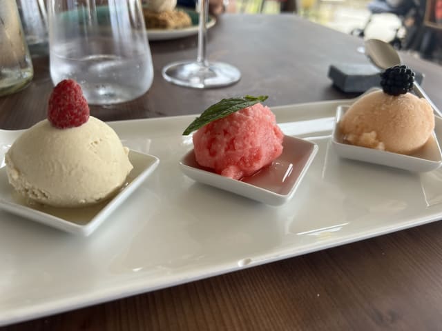 Sorbet trilogy. Homemade. From fruit to table - Polisena L'altro Agriturismo Veg