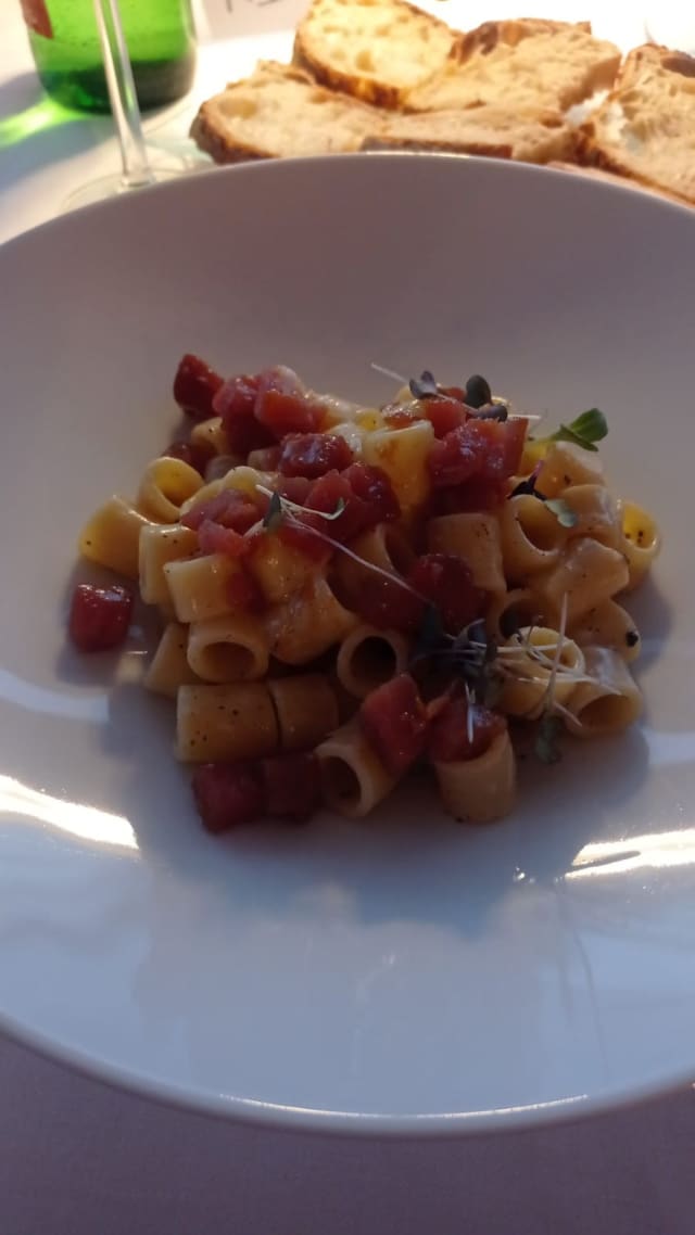 Pacchero pastificio Graziano, gamberi rossi, lime e bietola saltata - Club Nautico della Vela, Naples