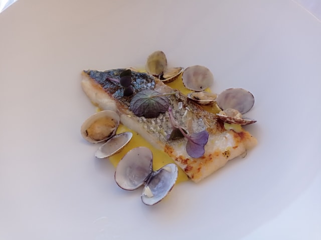 Pesce scottato, crema di patate allo zafferano e vongole veraci  - Club Nautico della Vela