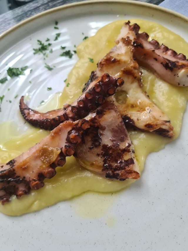 Tentacolo di polipo grigliato con crema di patate - Ristorante Solmar