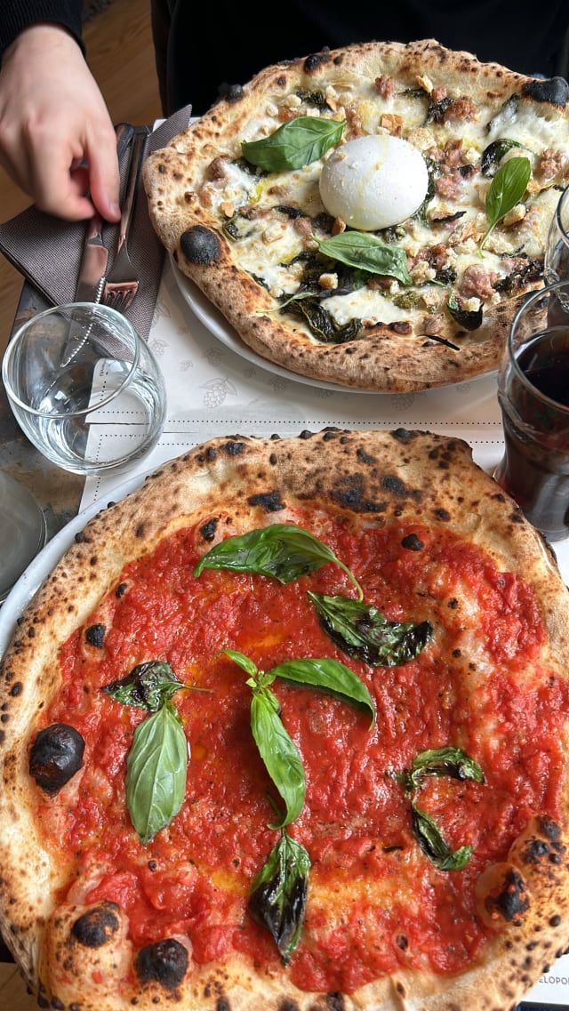 Marinara - I Dodici Gatti, Milan