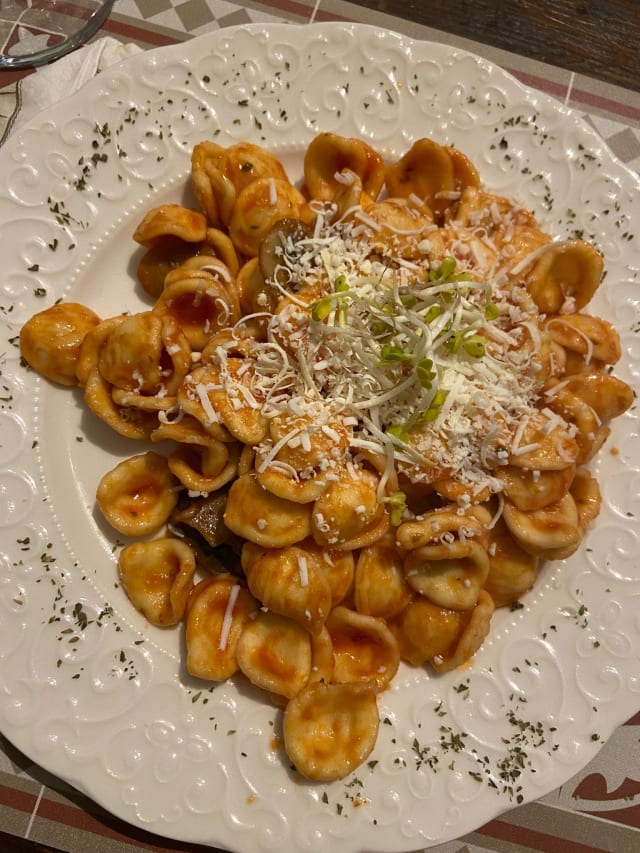 Orecchiette fresche al sugo con cacioricotta di Martina Franca - Pugliami Per La Gola, Modena