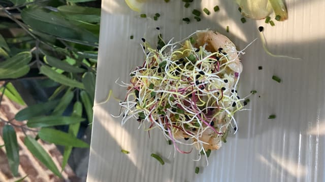 Tartare de crevettes et avocat au gingembre - La Table du Rôtisseur, Meaux