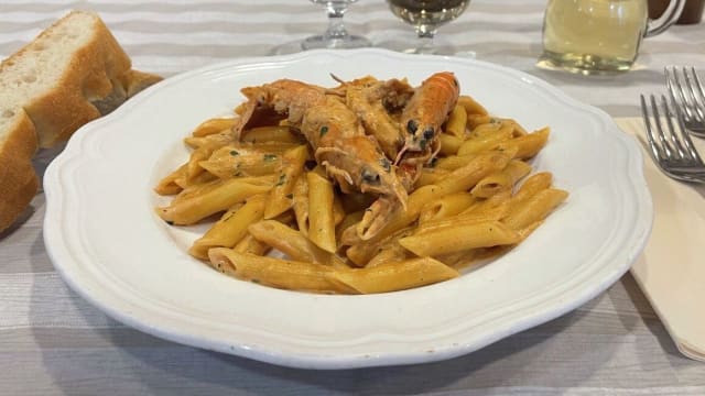 penne agli scampi  - Rocchino