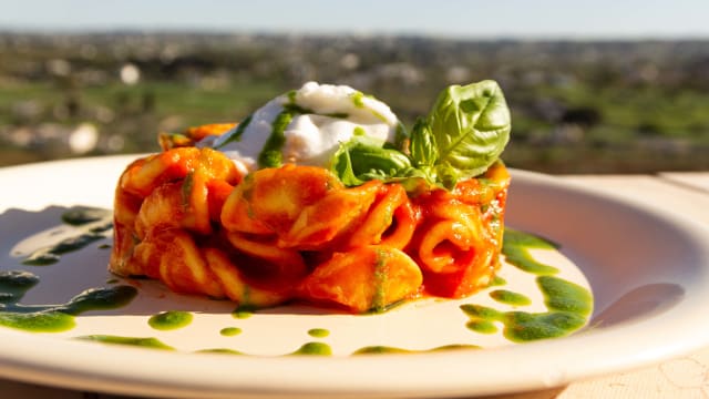 Orecchiette pomodoro crema di basilico e burratina - Kiatz