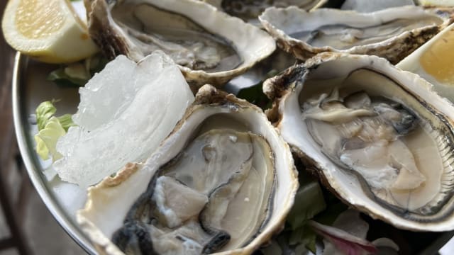 Ostriche 1pz/ Oysters 1 piece - MAA Ristorante Seafood & Lounge bar, Civitavecchia