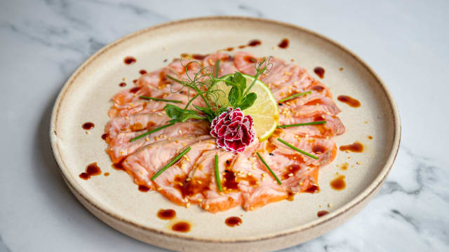 carpaccio salmão - Teriyaki