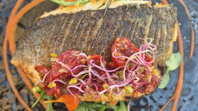 Filetto di spigola croccante - Terrazza Moro, Taormina