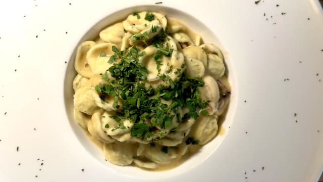 Orecchiette al peperoncino con crema di cannellini e cozze - Nikō Apulian