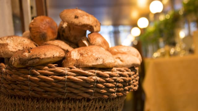 porcini freschi - Trattoria Pandemonio